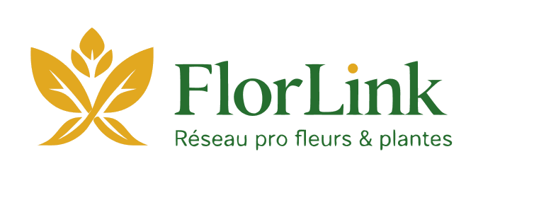FlorLink — Marketplace B2B fleurs et plantes